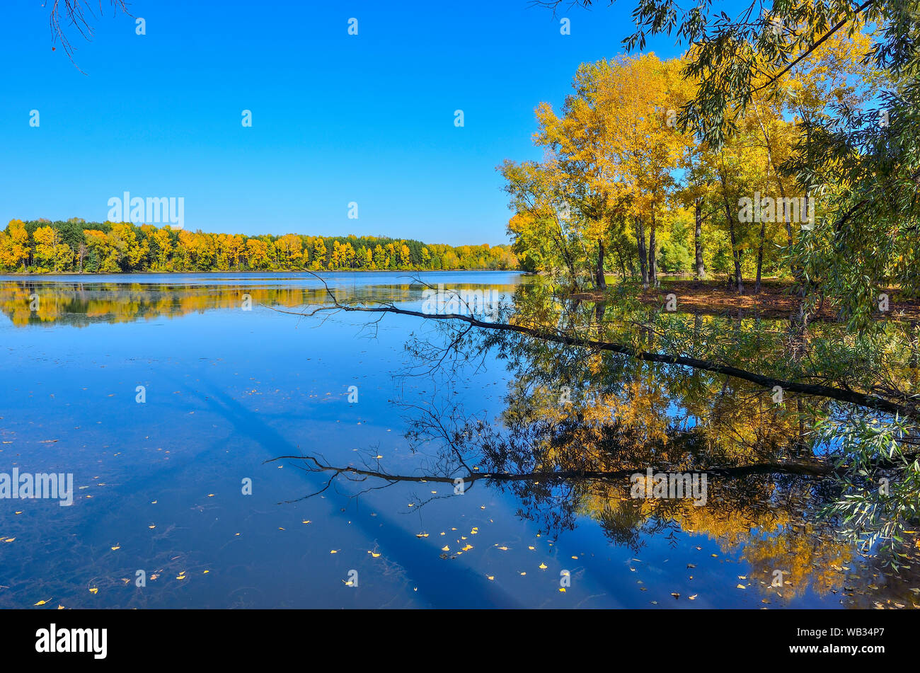 Golden fogliame di autunno alberi intorno al lago riflette in acqua blu - autunno pittoresco paesaggio a caldo e soleggiato settembre meteo con blu chiaro sk Foto Stock