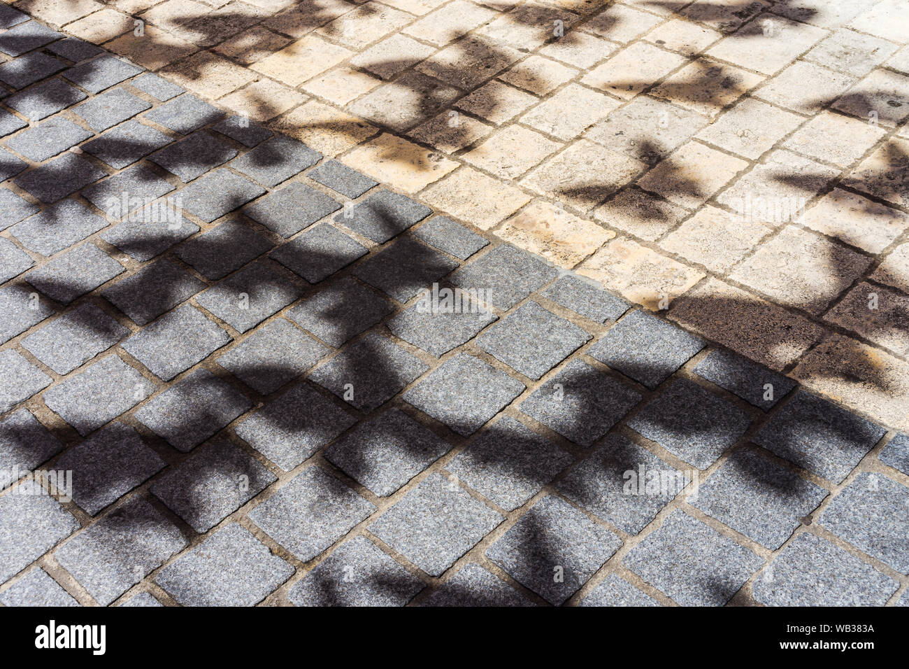 Ombre di sospese cut-out farfalle al di sopra di una strada pedonale - Chatellerault, Vienne, in Francia. Foto Stock