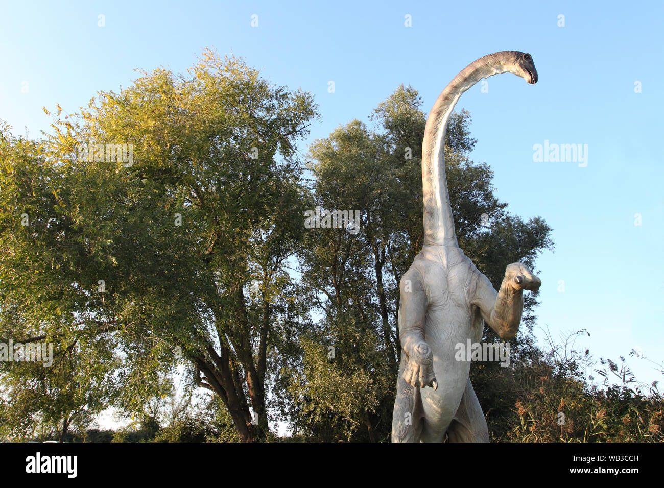 Copia realistica di Brachiosaurus, è un genere di sauropod dinosaur che ha vissuto in Nord America durante il tardo Giurassico, circa 154-153 milioni di anni fa Foto Stock