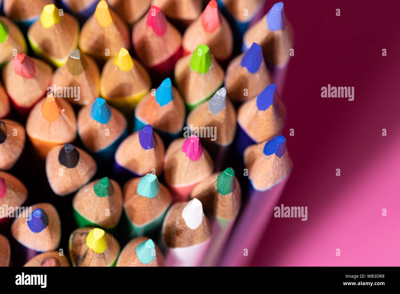 Grande mazzo di matite colorate su sfondo rosa. Istruzione, torna a scuola con il concetto di spazio di copia Foto Stock
