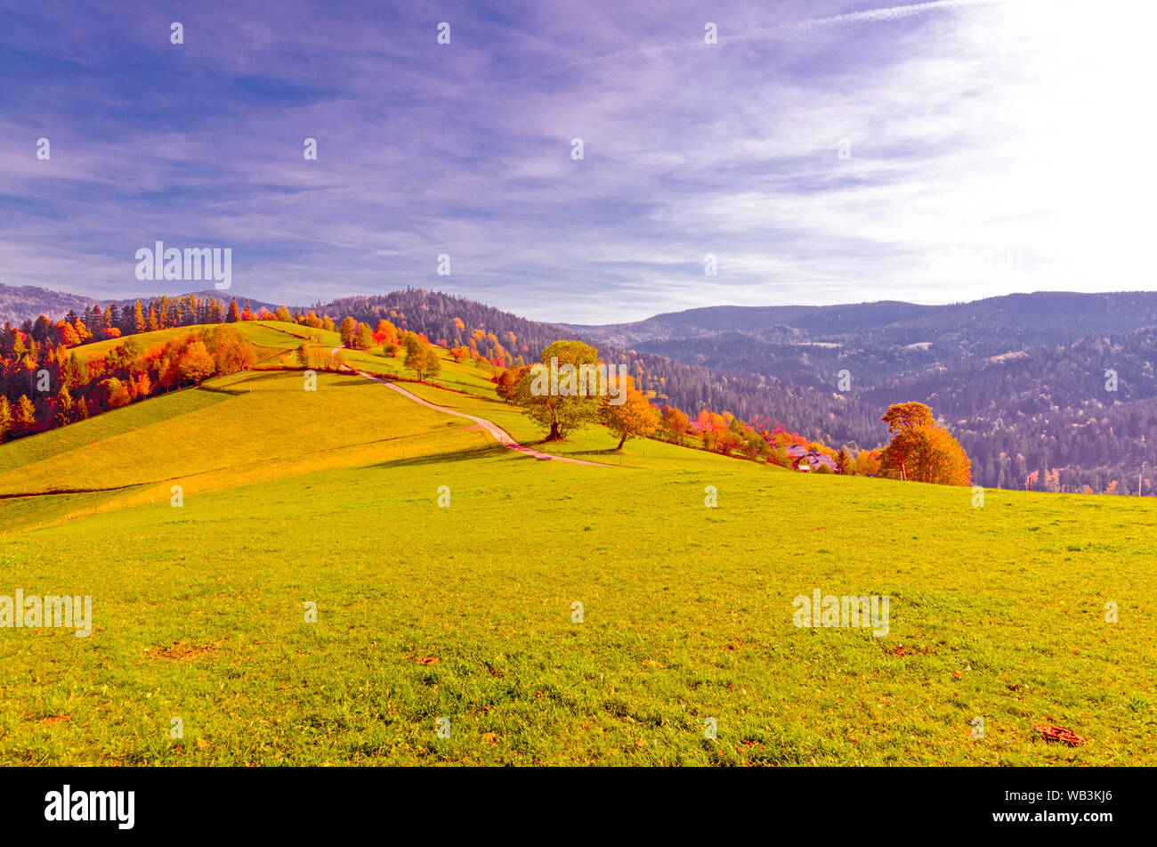 In autunno i monti Beskidy, Polonia. Alberi colorati lungo il percorso di avvolgimento con una vista per le vaste colline di prati e boschi. Foto Stock