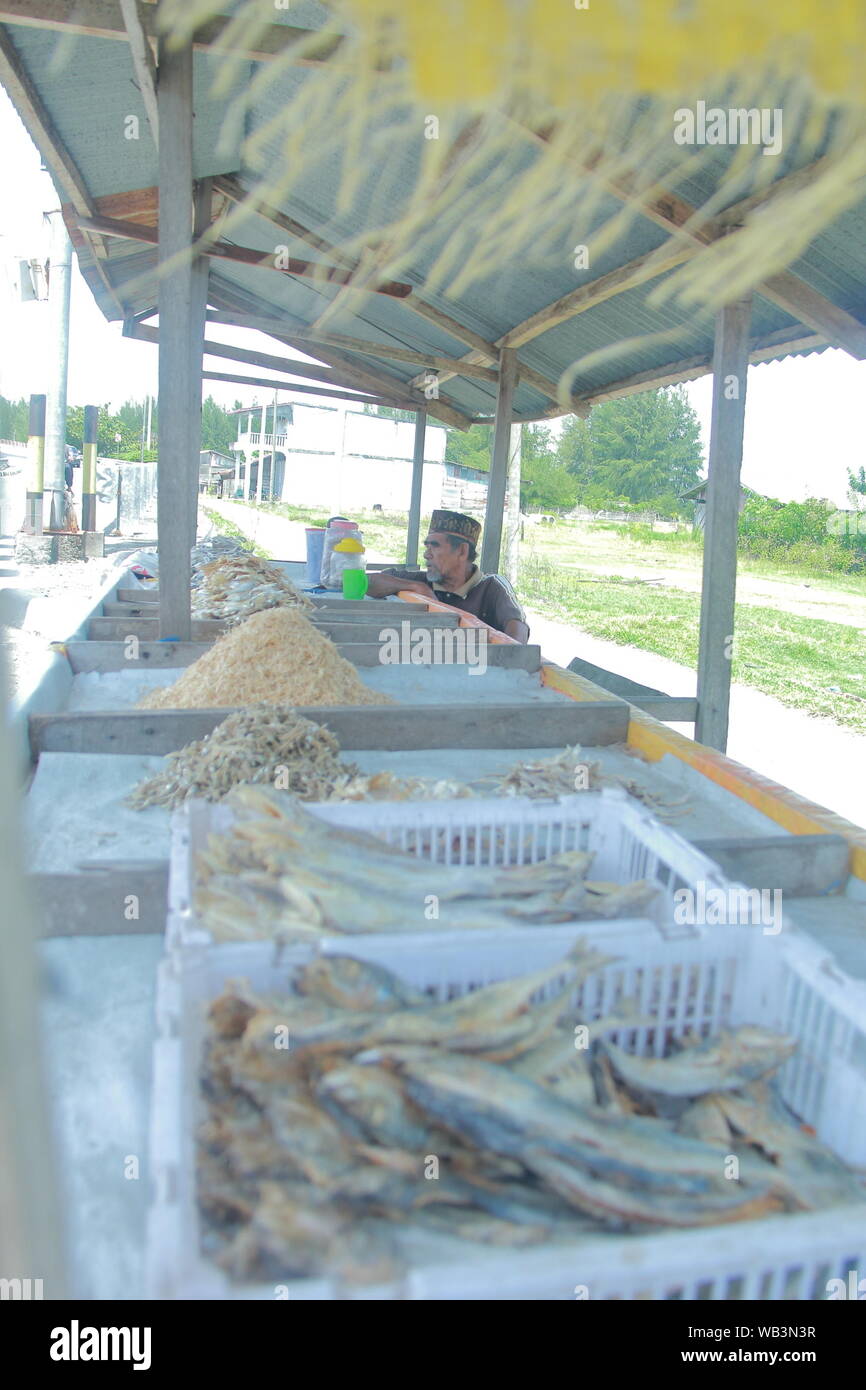 Meulboh, Indonesia. 23 Ago, 2019. Un pescivendolo a Kuala Bubon, Aceh Barat in Meulboh.Questo è un programma eseguito dal Unsyiah ingegneria agricola con l'Università e governo distrettuale con il tema "L'applicazione di appropriate tecnologie agricole a Kuala Bubon, Aceh Barat verso Community-Based pesce nei centri di produzione di credito: SOPA Immagini limitata/Alamy Live News Foto Stock