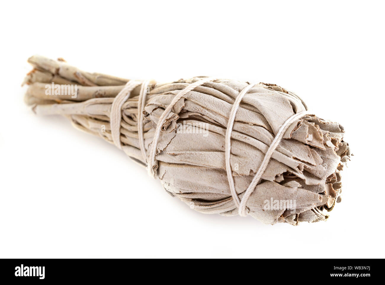 Salvia bianco davanti a uno sfondo bianco Foto Stock