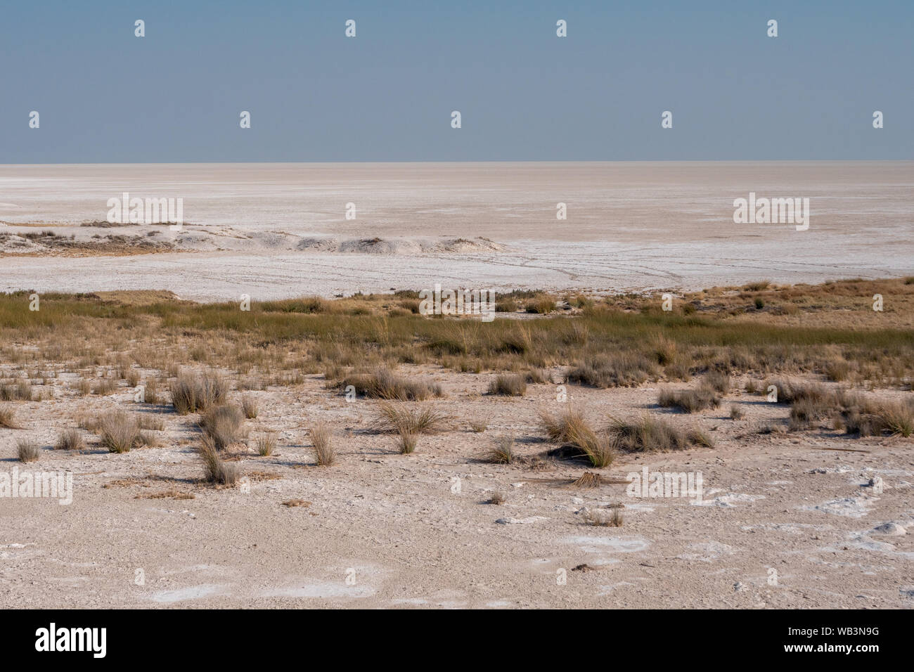 Orizzonte in solitaria, aride sale di Etosha Pan, Namibia in stagione secca - Piana Foto Stock