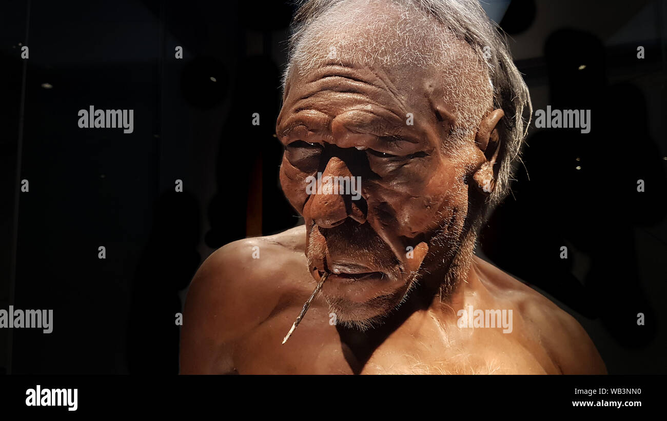Evoluzione umana gallery presso il Museo di Storia Naturale di Londra Regno Unito Regno Unito. Questa immagine potrebbe avere delle imperfezioni come la cronologia o re Foto Stock