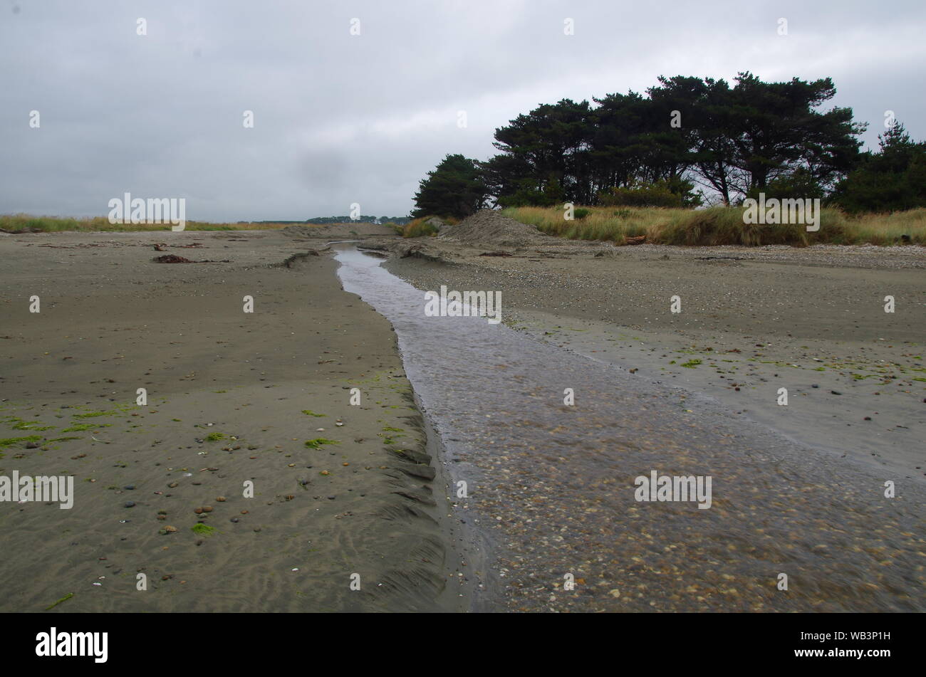 Fiume. Te Araroa Trail. Riverton. Southland. Isola del Sud. Nuova Zelanda Foto Stock