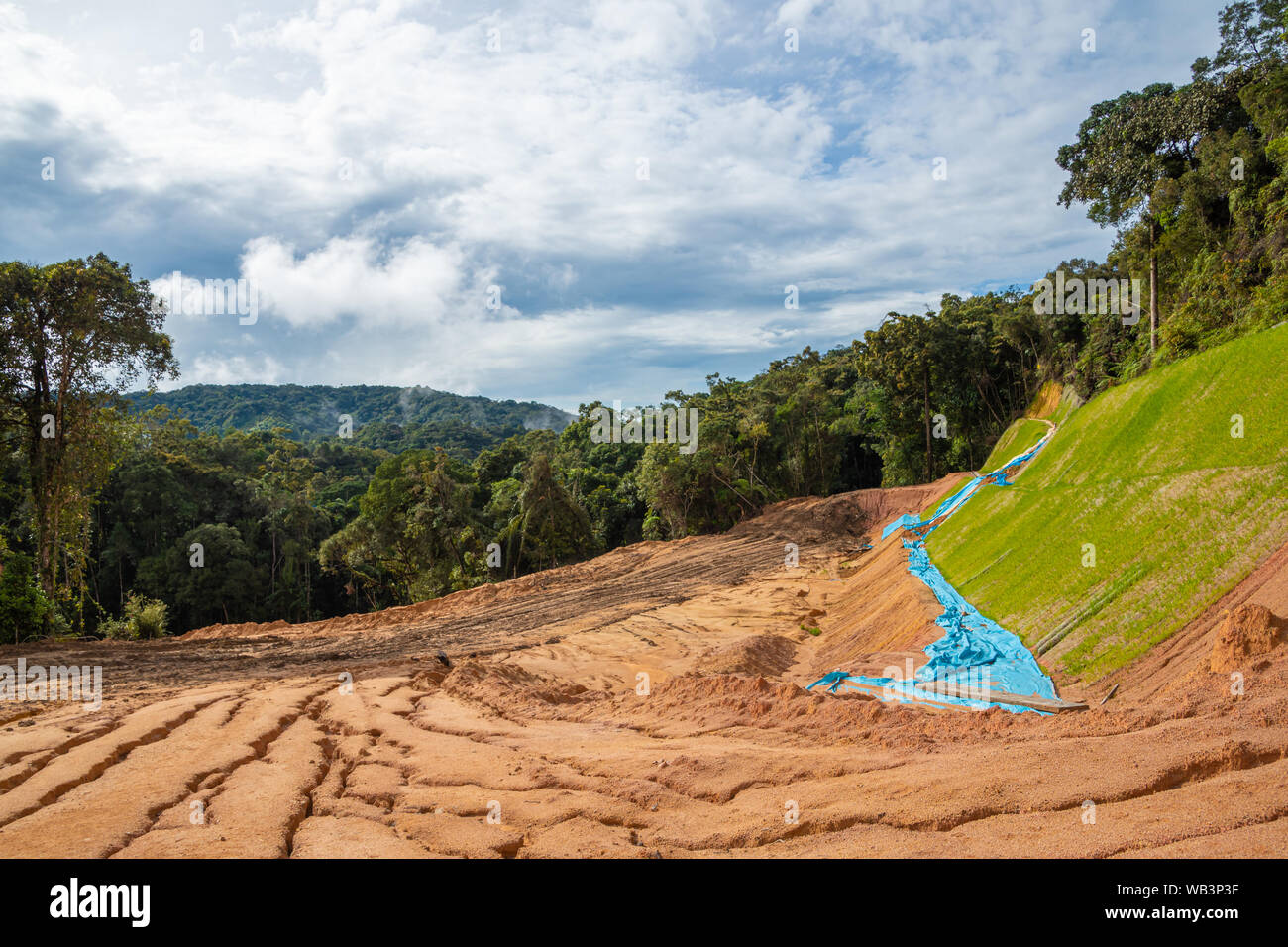 Foresta pluviale tropicale cancellata bosco in Cameron Highlands Foto Stock Foresta pluviale tropicale cancellata bosco in Cameron Highlands Foto Stock