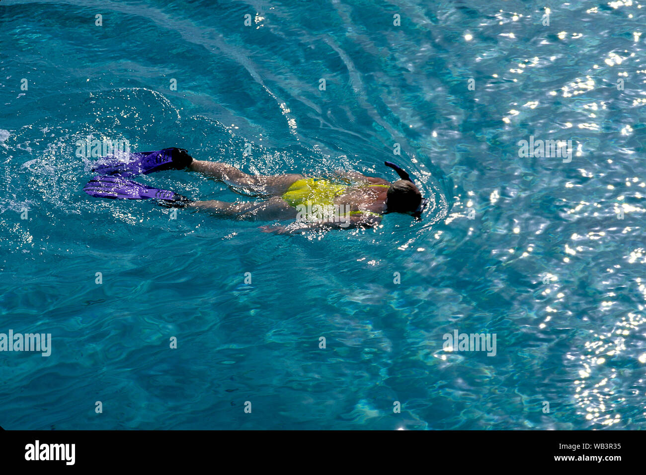 Snorkeling caribbean immagini e fotografie stock ad alta risoluzione