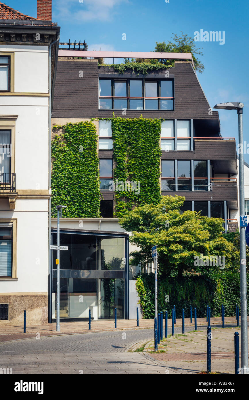 Vista della parete di facciata di inverdimento inverdimento con piante rampicanti come un concetto della moderna vita urbana e sostenibilità e repellente per insetti Foto Stock