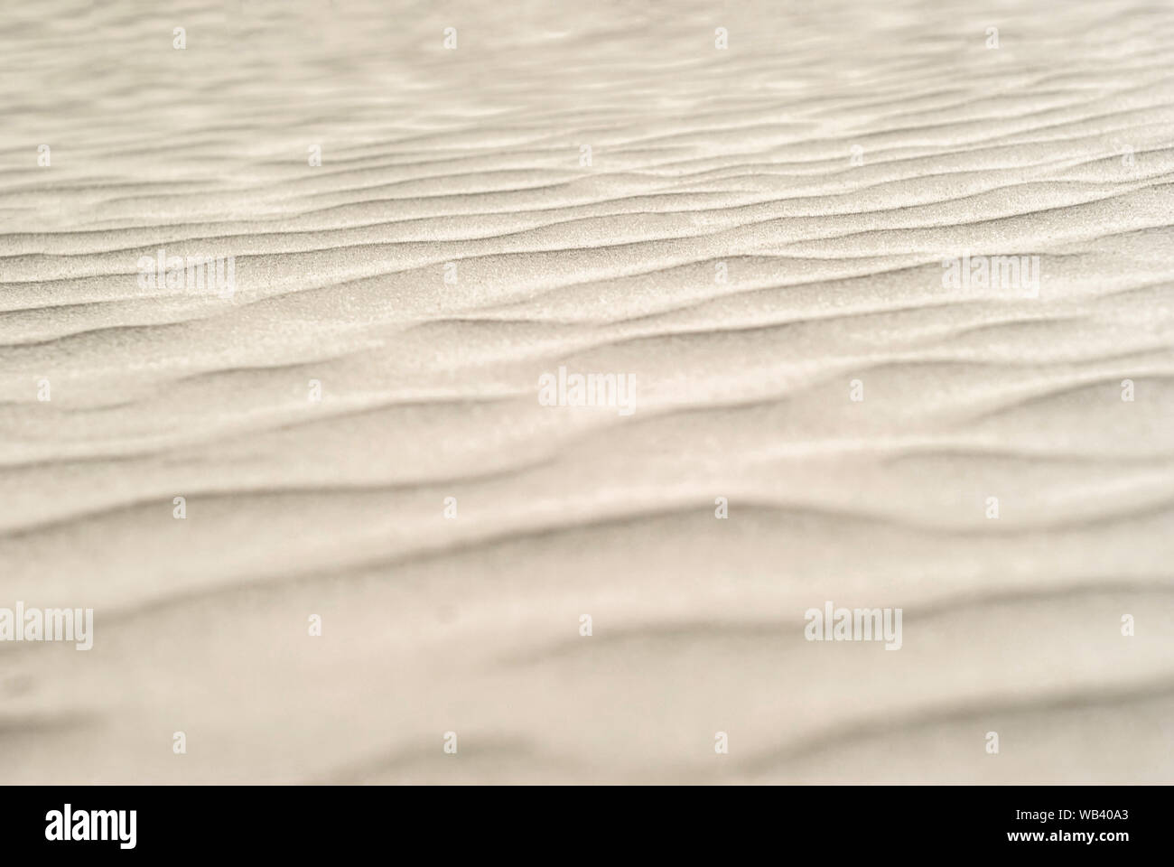 Sfondo - dune del deserto vicino, increspature sulla superficie di sabbia Foto Stock