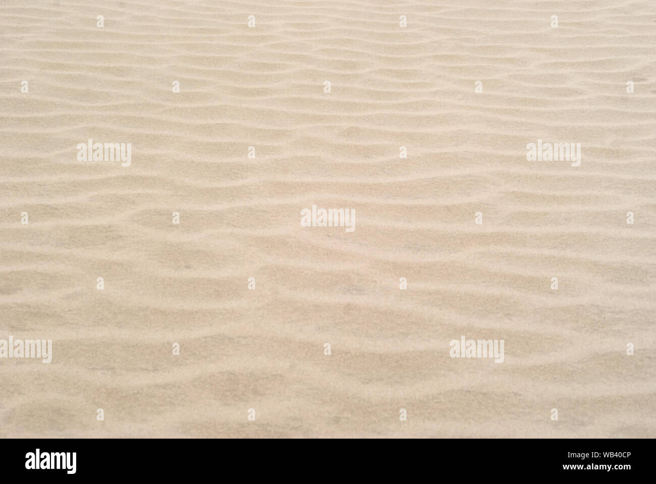 Sfondo - dune del deserto vicino, increspature sulla superficie di sabbia Foto Stock