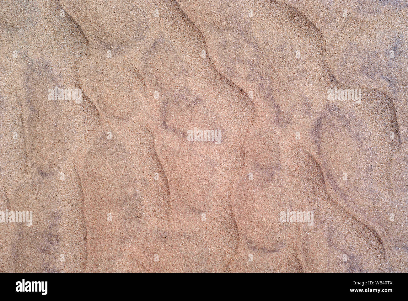 Sfondo - dune del deserto vicino, increspature sulla superficie di sabbia Foto Stock