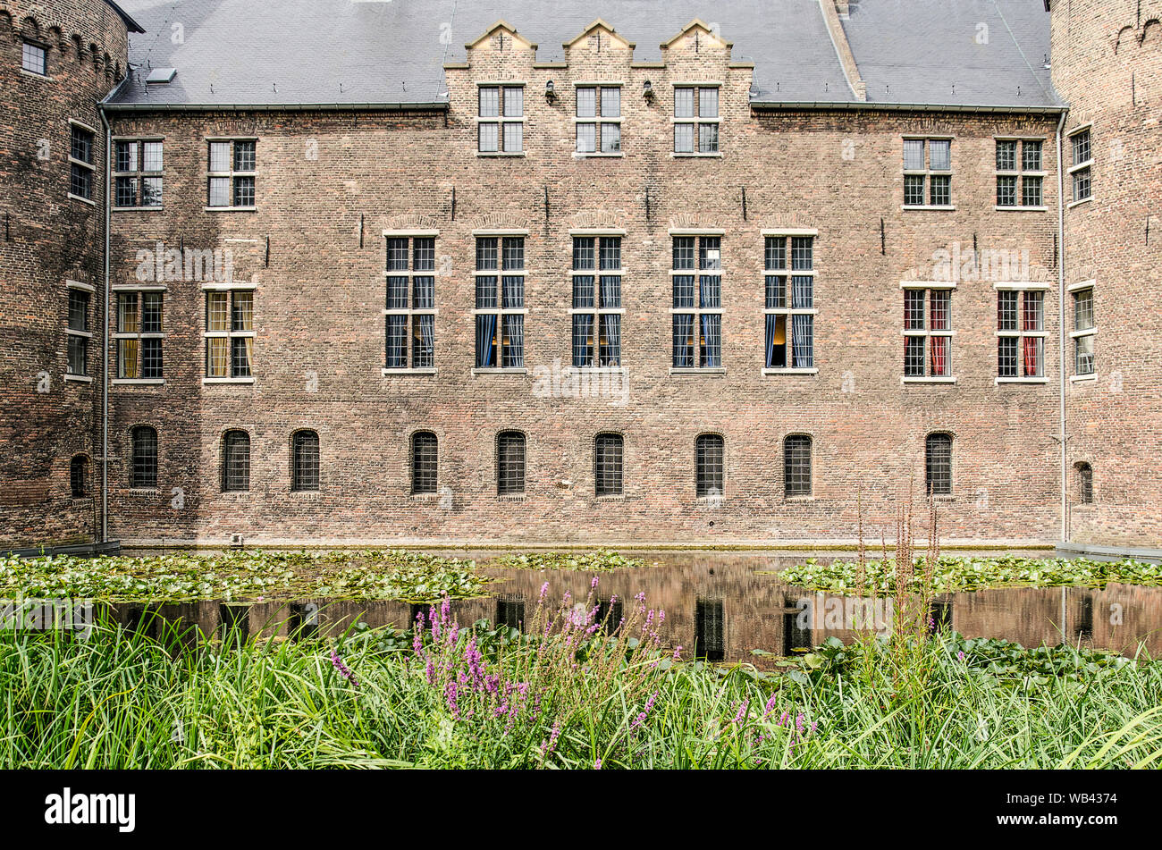 Helmond, Paesi Bassi, Agosto 16, 2019: vista attraverso il fossato e canneti e fiori di campo presso la sua banca verso il soleggiato Sud facciata del XIV sec. Foto Stock