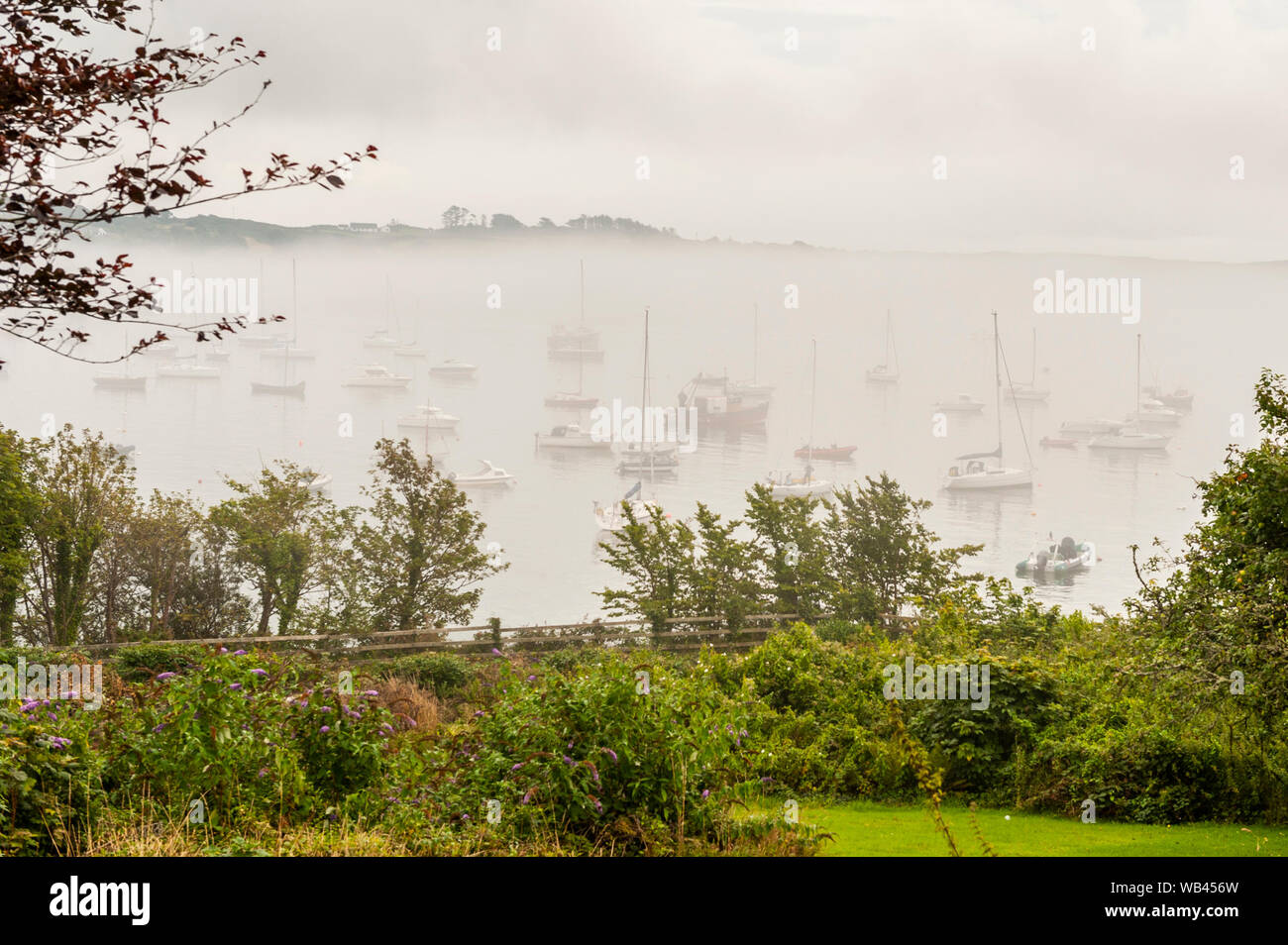 Schull, West Cork, Irlanda. 24 Ago, 2019. La nebbia avvolge le barche in Schull Harbour su un nuvoloso ma giorno umido in West Cork. La pioggia si sposta nell'area di questo pomeriggio con alti da 17 a 19C. Credito: Andy Gibson/Alamy Live News Foto Stock