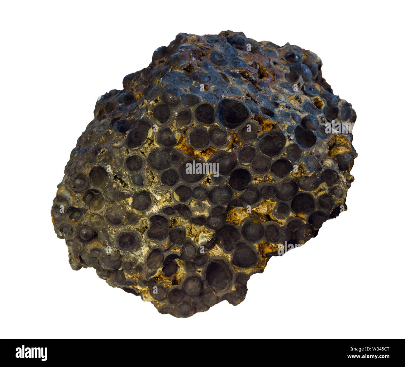 Campione di minerale di ferro magnetite in forma di oolites isolati su sfondo bianco Foto Stock