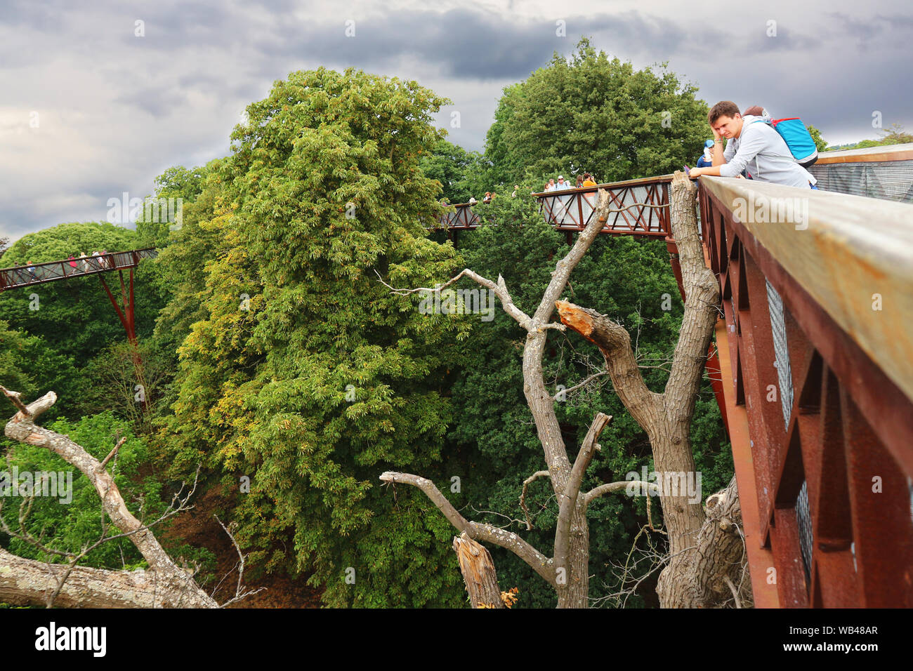 Treetop marciapiede in Kew Gardens, Londra Foto Stock