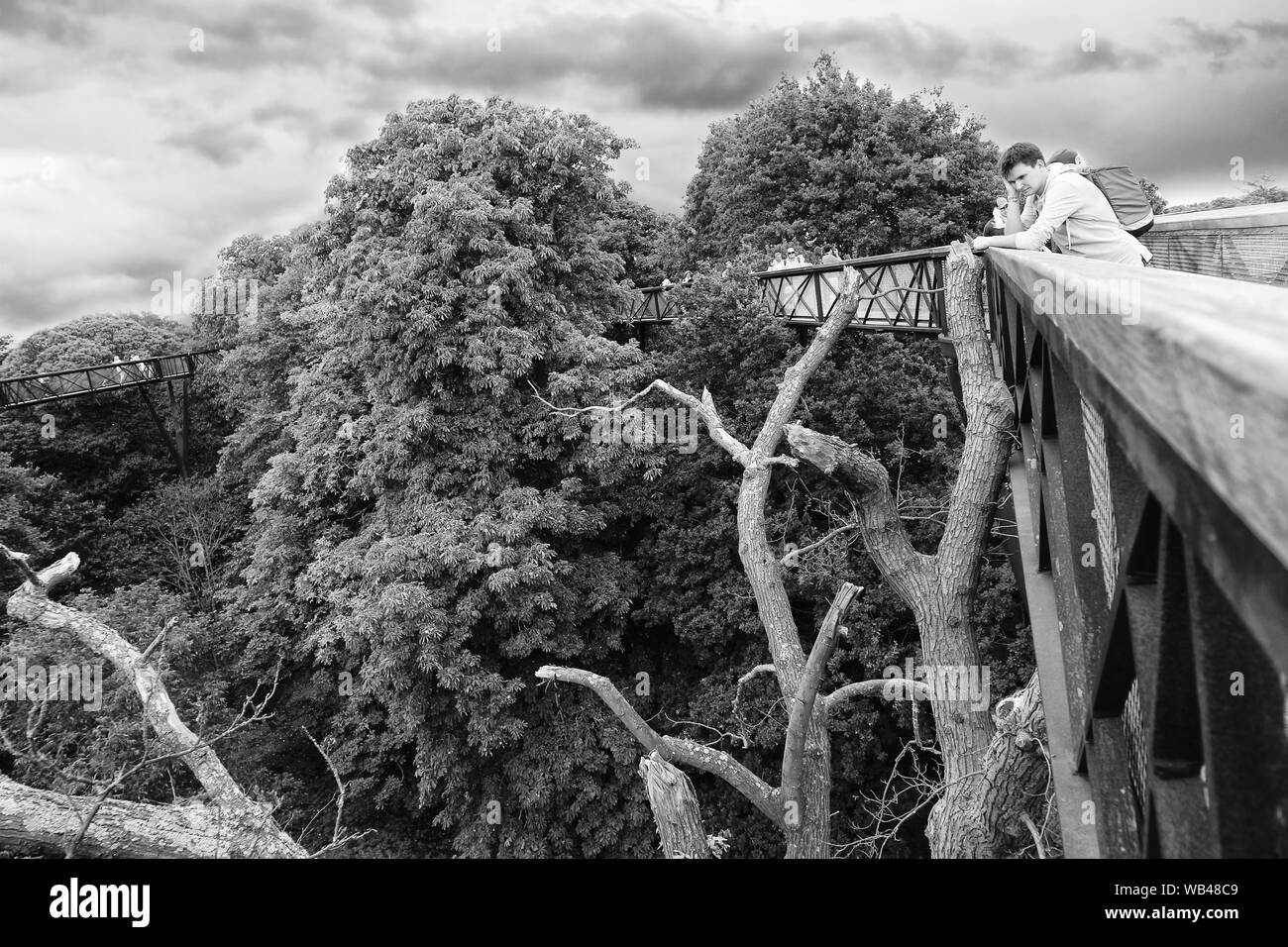 Treetop marciapiede, Kew Gardens, Londra Foto Stock