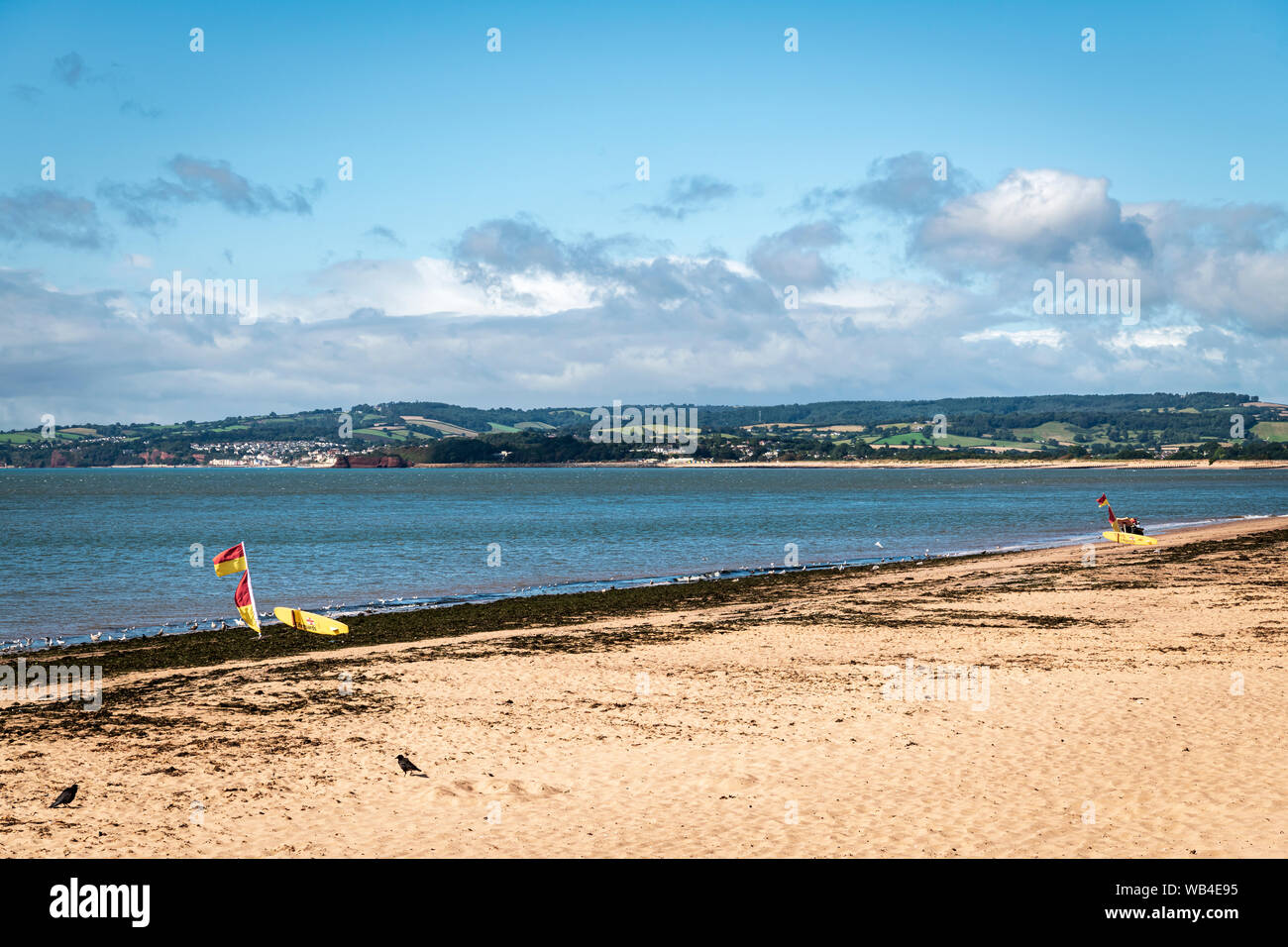 RNLI safe area nuoto segnato dal rosso e giallo le bandiere e tavole da surf sulla spiaggia di Exmouth, Devon, Inghilterra. 14 Agosto 2019 Foto Stock