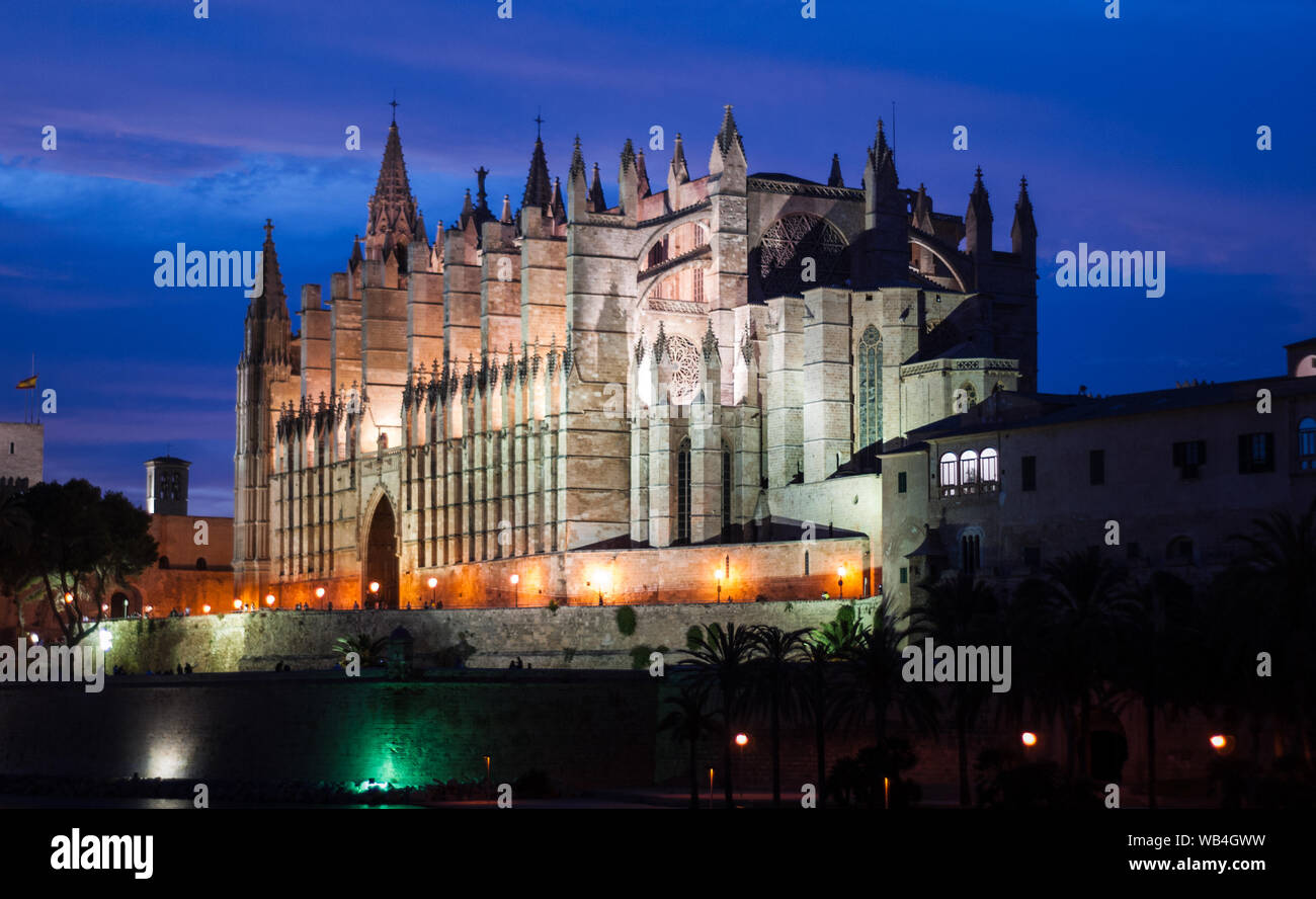 La cattedrale di palma nel blu ora Foto Stock