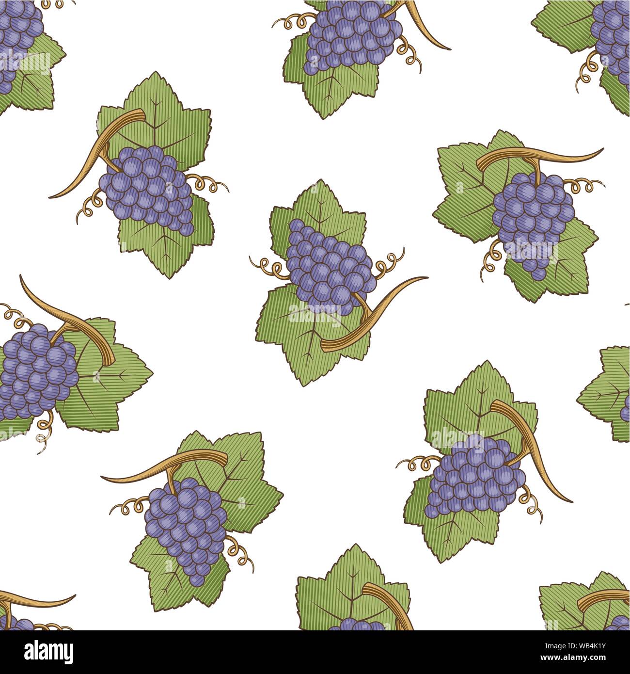 Viola uva con foglie colorate perfetta illustrazione sfondo pattern con incisione ombreggiatura. Illustrazione Vettoriale