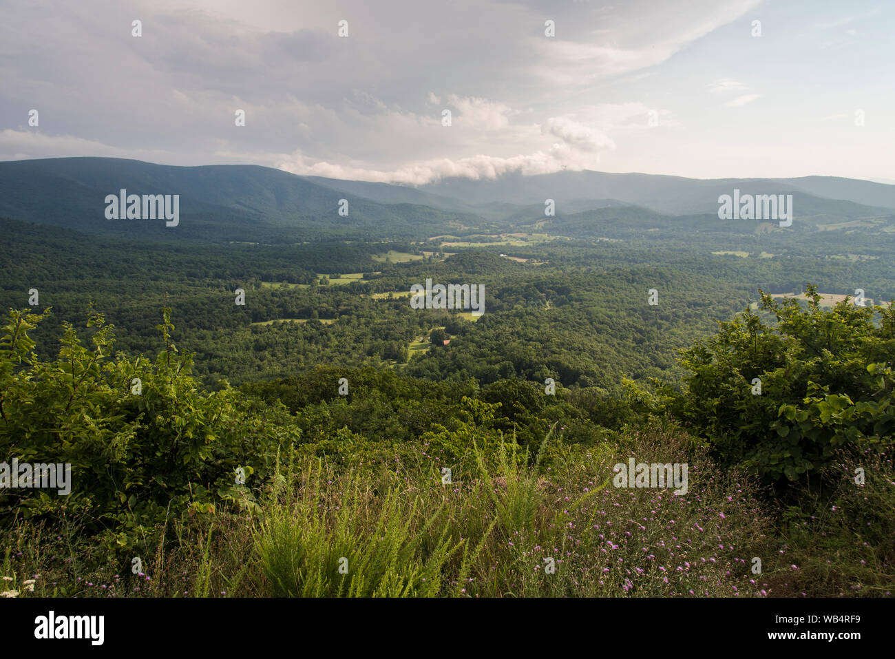 Vista della valle di Shenandoah - Parco Nazionale di Shenandoah Foto Stock