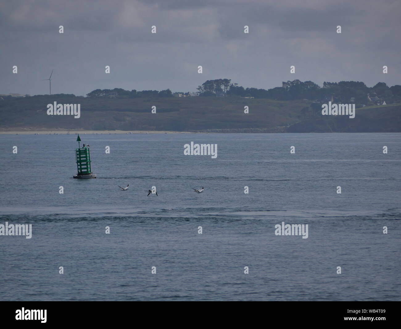 Foto Prezzi en mer depuis onu bateau entre l'île de ouessant et Le port du conquet . nous pouvons voir sur la première foto l'île de ouessant Foto Stock