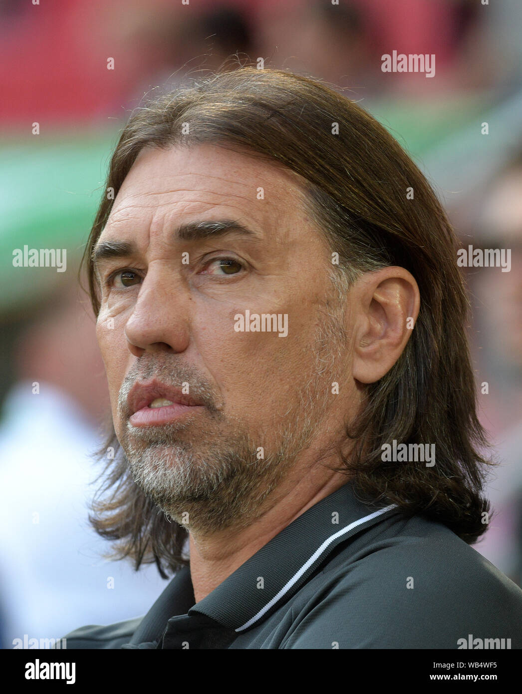 Augsburg, Germania. 24 Ago, 2019. Calcio: Bundesliga, FC Augsburg - 1FC Union Berlin, seconda giornata in WWK-Arena. Coach Martin Schmidt di Augsburg. Credito: Stefan Puchner/dpa - NOTA IMPORTANTE: In conformità con i requisiti del DFL Deutsche Fußball Liga o la DFB Deutscher Fußball-Bund, è vietato utilizzare o hanno utilizzato fotografie scattate allo stadio e/o la partita in forma di sequenza di immagini e/o video-come sequenze di foto./dpa/Alamy Live News Foto Stock