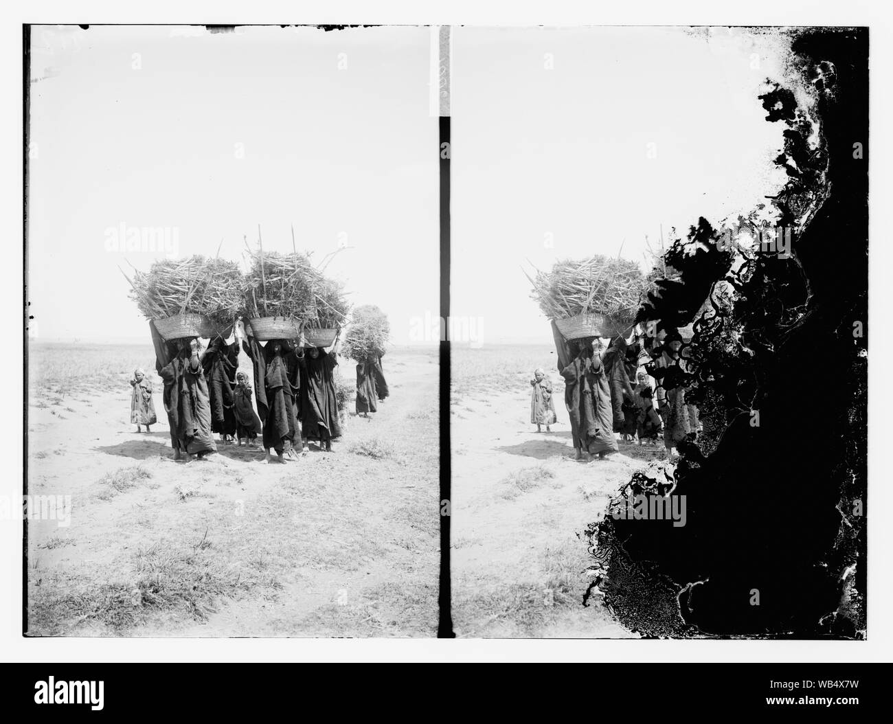 Caratteri egiziano, ecc. Le donne che trasportano carburante/astratta di medie: G. Eric e Edith Matson Collezione fotografica Foto Stock
