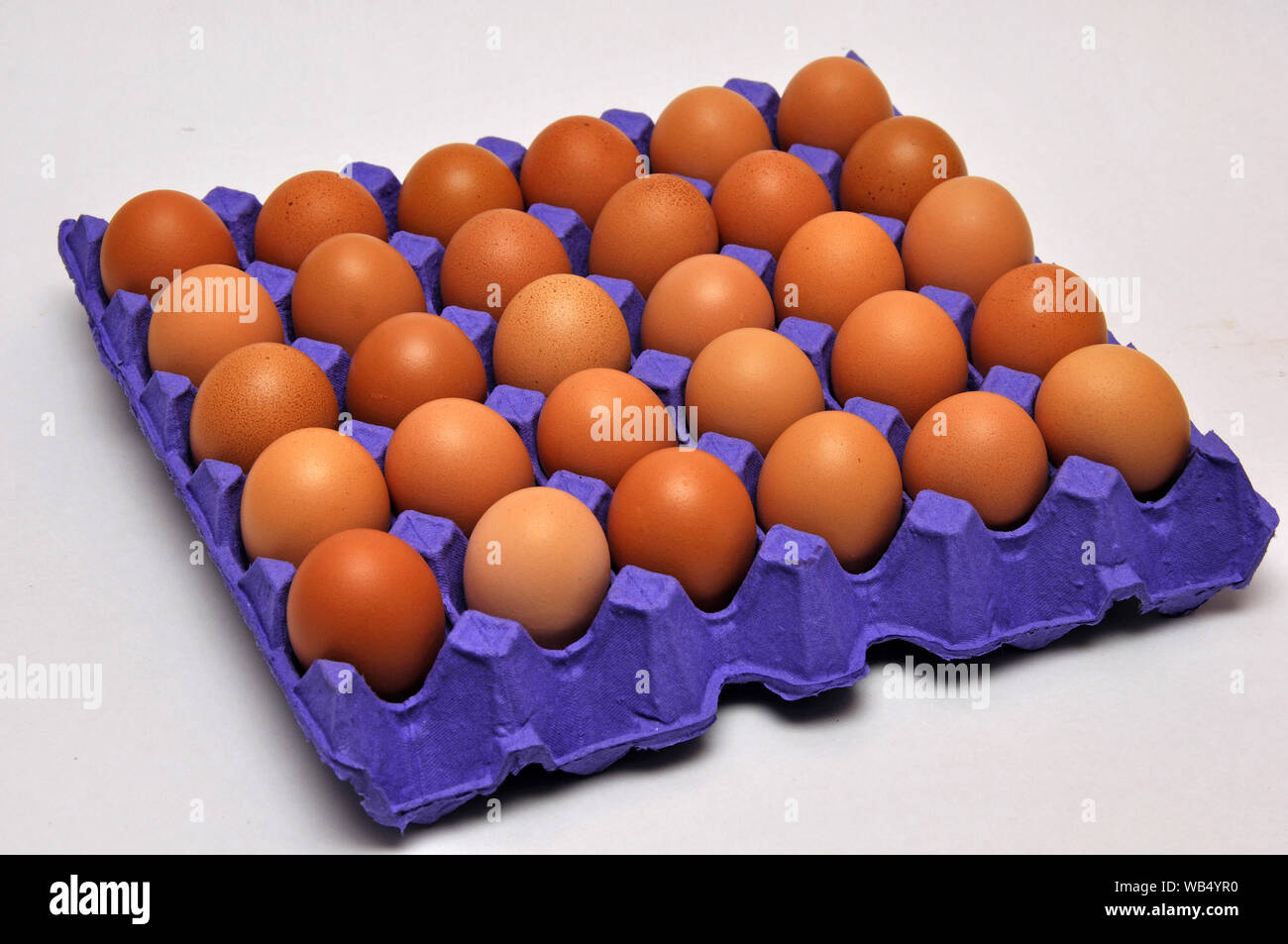 Vassoio di uova di pollo su un sfondo senza giunture Foto Stock