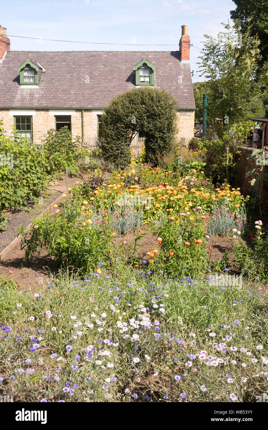 Cottage tradizionale giardino nel museo Beamish pit village, Co. Durham, England, Regno Unito Foto Stock