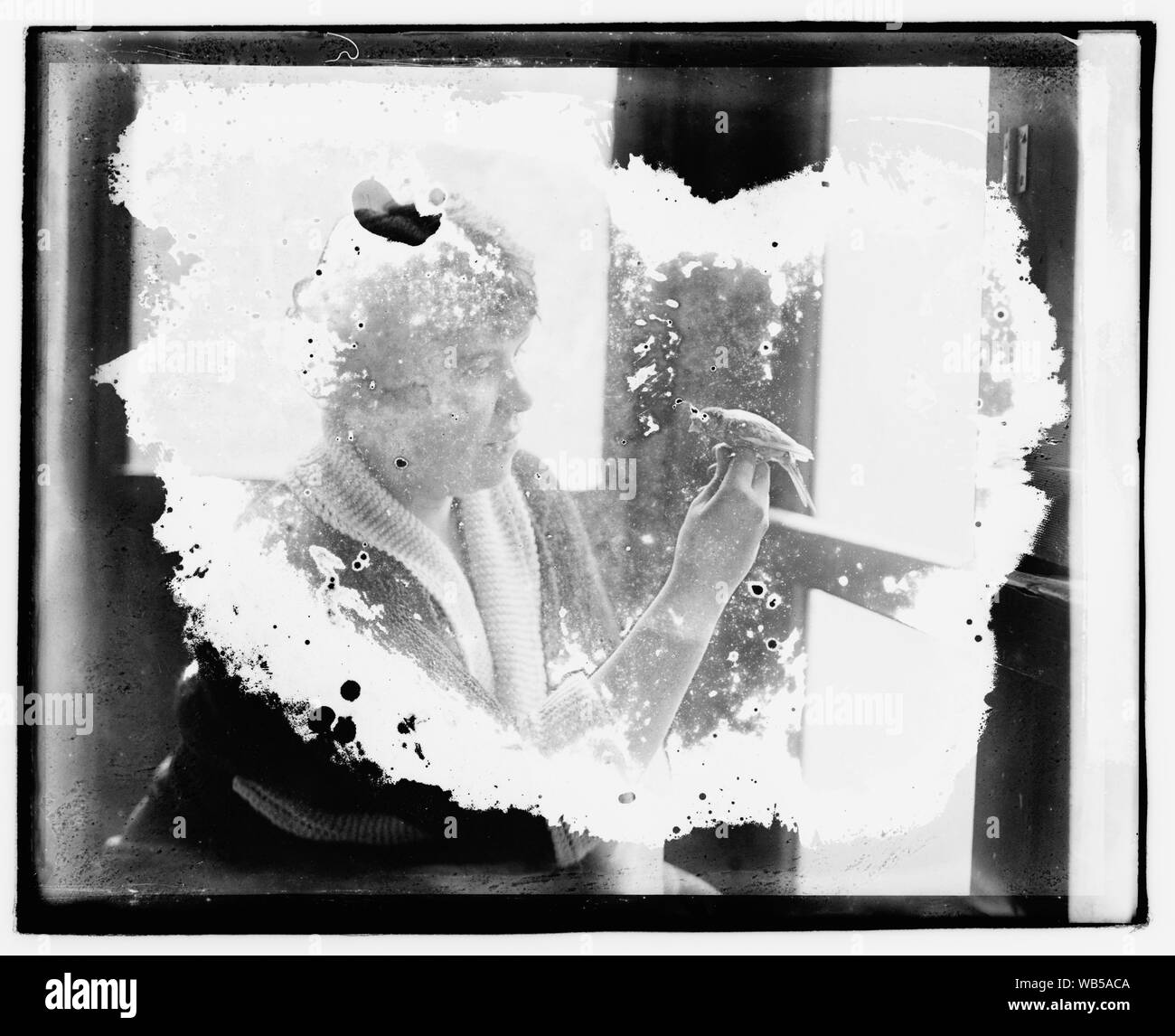 Emily Fowler Thompson, Canarie Abstract/medio nazionale: Foto Azienda Collection Foto Stock
