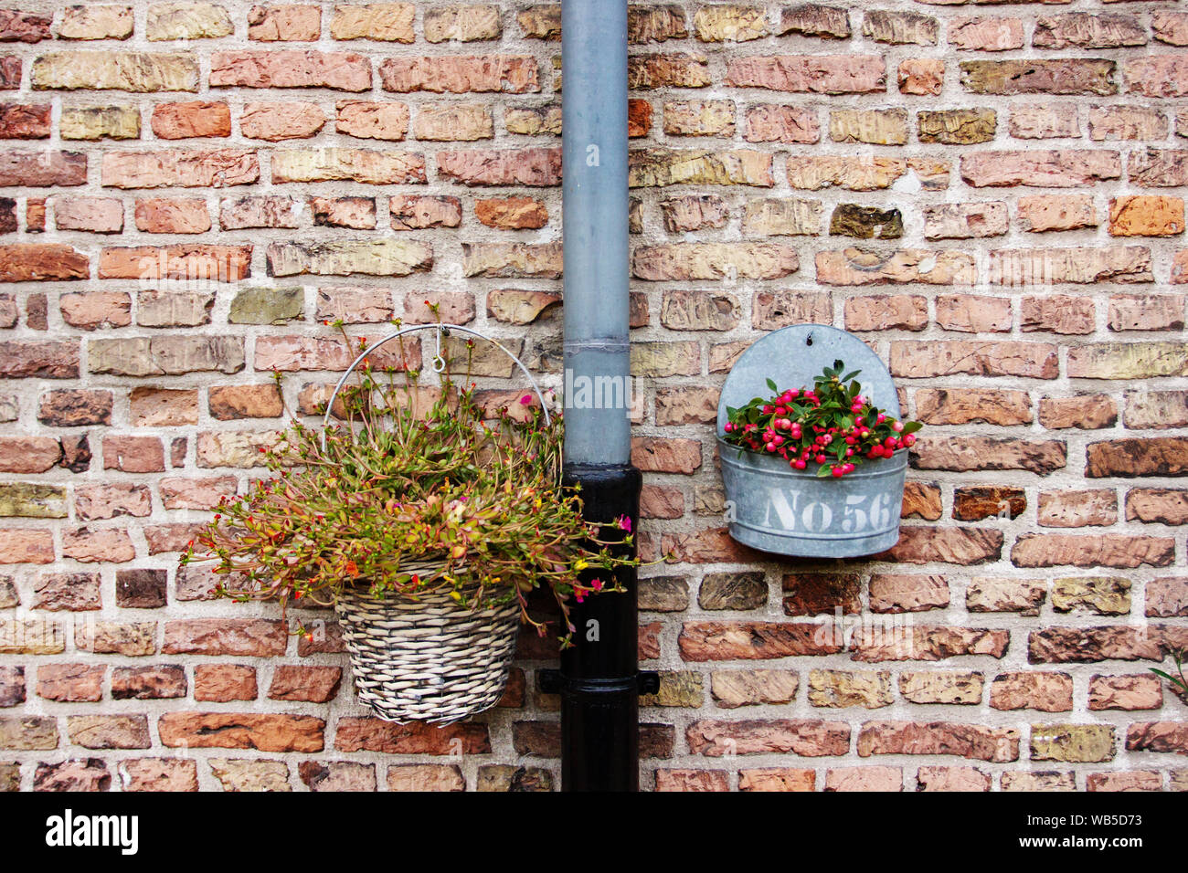 Red muro di mattoni della casa con vasi di fiori Foto Stock