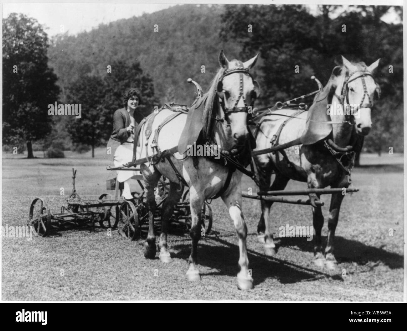 Evelyn re di Washington il taglio dell'erba con una coppia di cavalli e la falciatrice a bianca molle di zolfo, West Virginia Abstract/medio: 1 stampa fotografica. Foto Stock