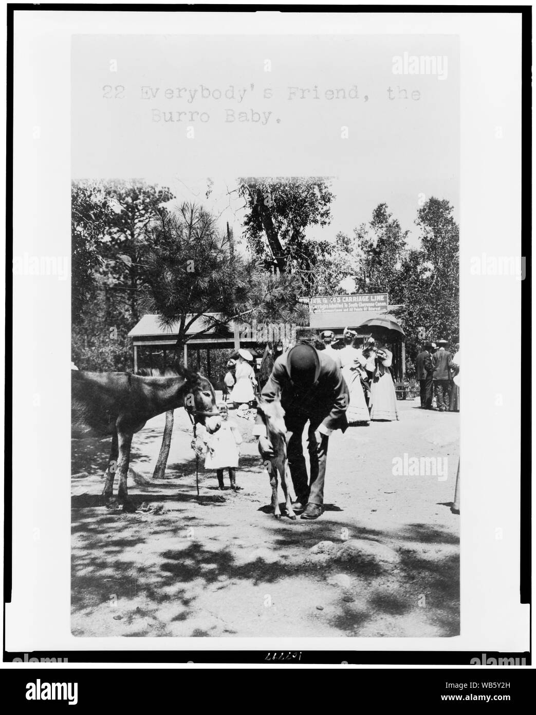 Amici di tutti, il burro baby Abstract/medio: 1 stampa fotografica. Foto Stock