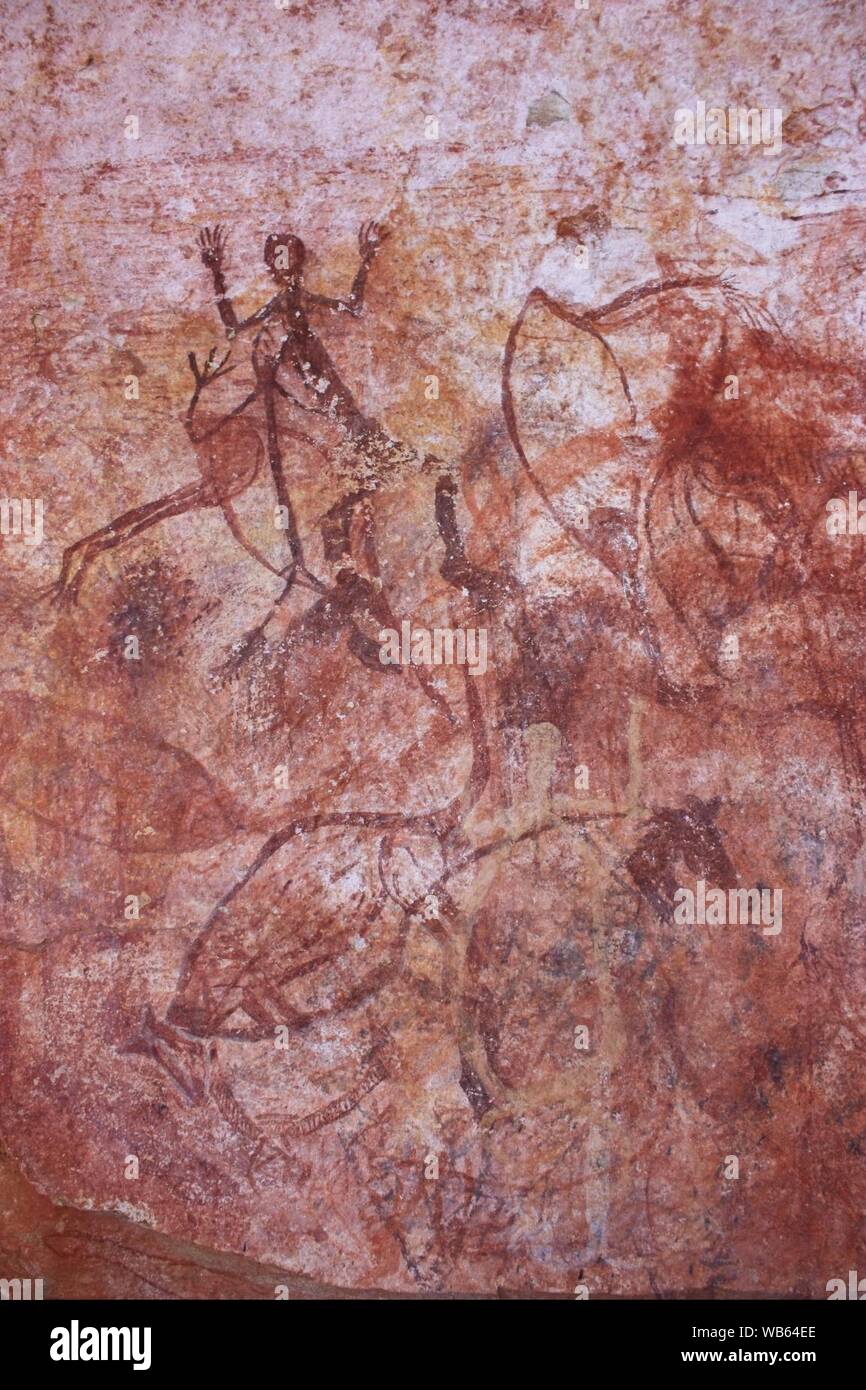 Inizio X-ray animali Foto Stock