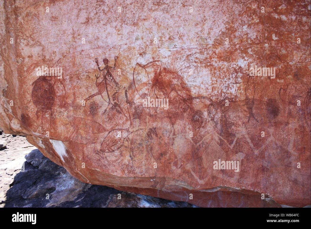 Inizio a raggi X del pannello di figura Foto Stock