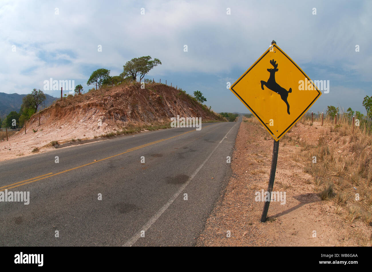 São Jorge, 25 ottobre 2017. Segnaletica stradale che informa i conducenti del pericolo di attraversare gli animali sul perimetro del Parco Nazionale di Chapada dos Veadeiros, Go Foto Stock