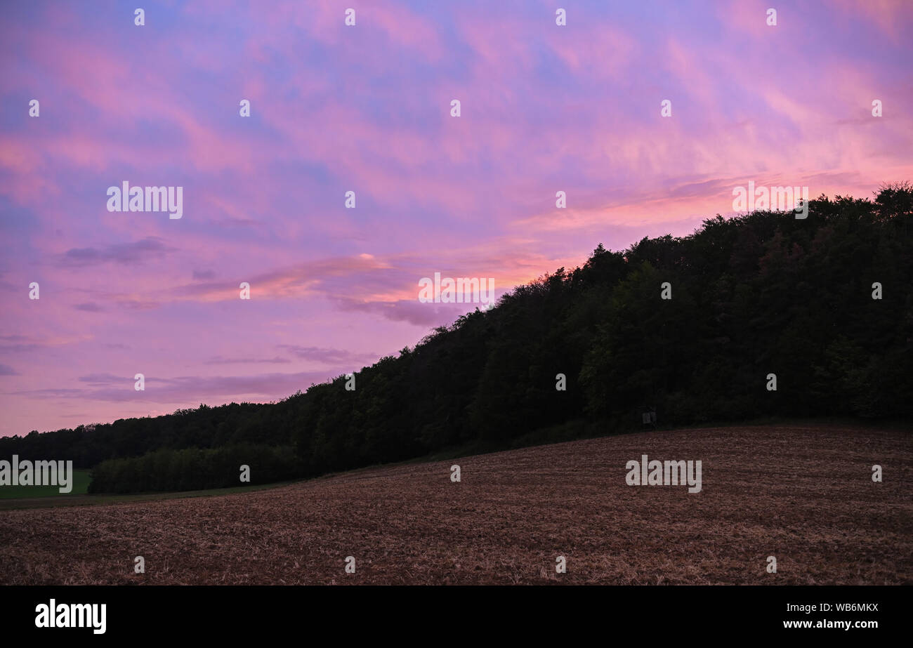 12 agosto 2019, il Land della Baviera, Greußenheim: il cielo della sera risplende in colori luminosi su di un pezzo di foresta in Berthold Kirchner il distretto. Kirchner è molto attivo il cacciatore - a volte trascorre cinque notti a settimana in natura. Foto: Nicolas Armer/dpa Foto Stock