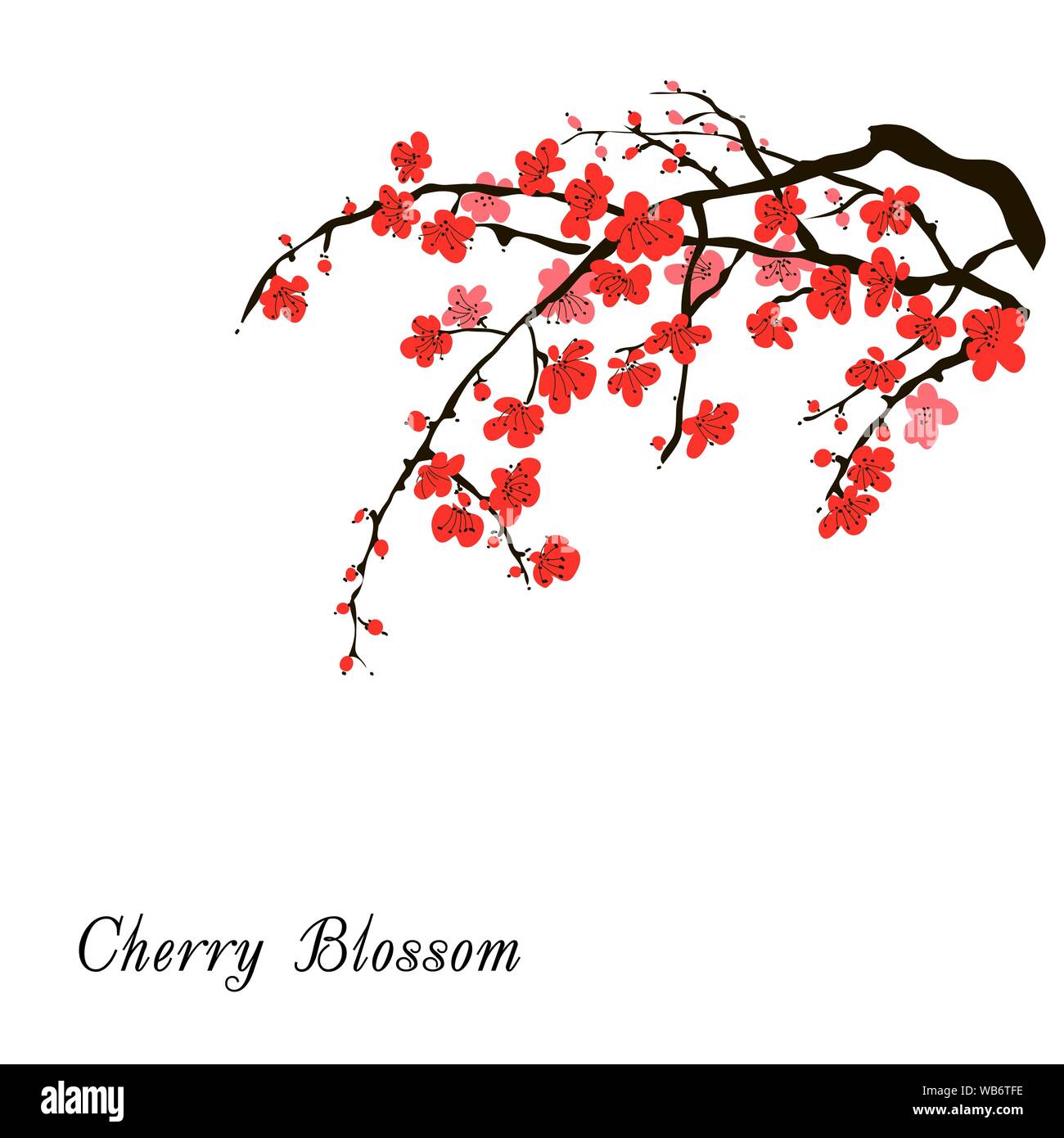 Fiore di Ciliegio modello con disegnati a mano con ramo di rosa fiori di  ciliegio fioritura. Sakura festival di fioritura banner. Cinese o  Giapponese disegno tradizionale. Illustrazione Vettoriale Immagine e  Vettoriale 