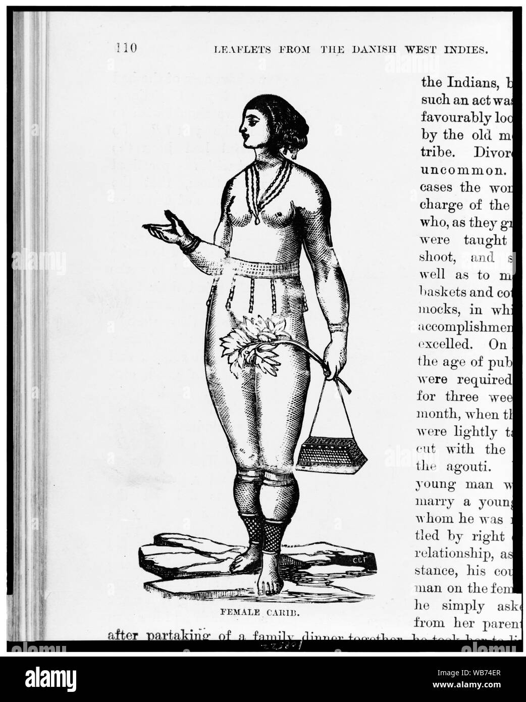 Carib femmina Abstract/medio: 1 stampa : incisione su legno. Foto Stock