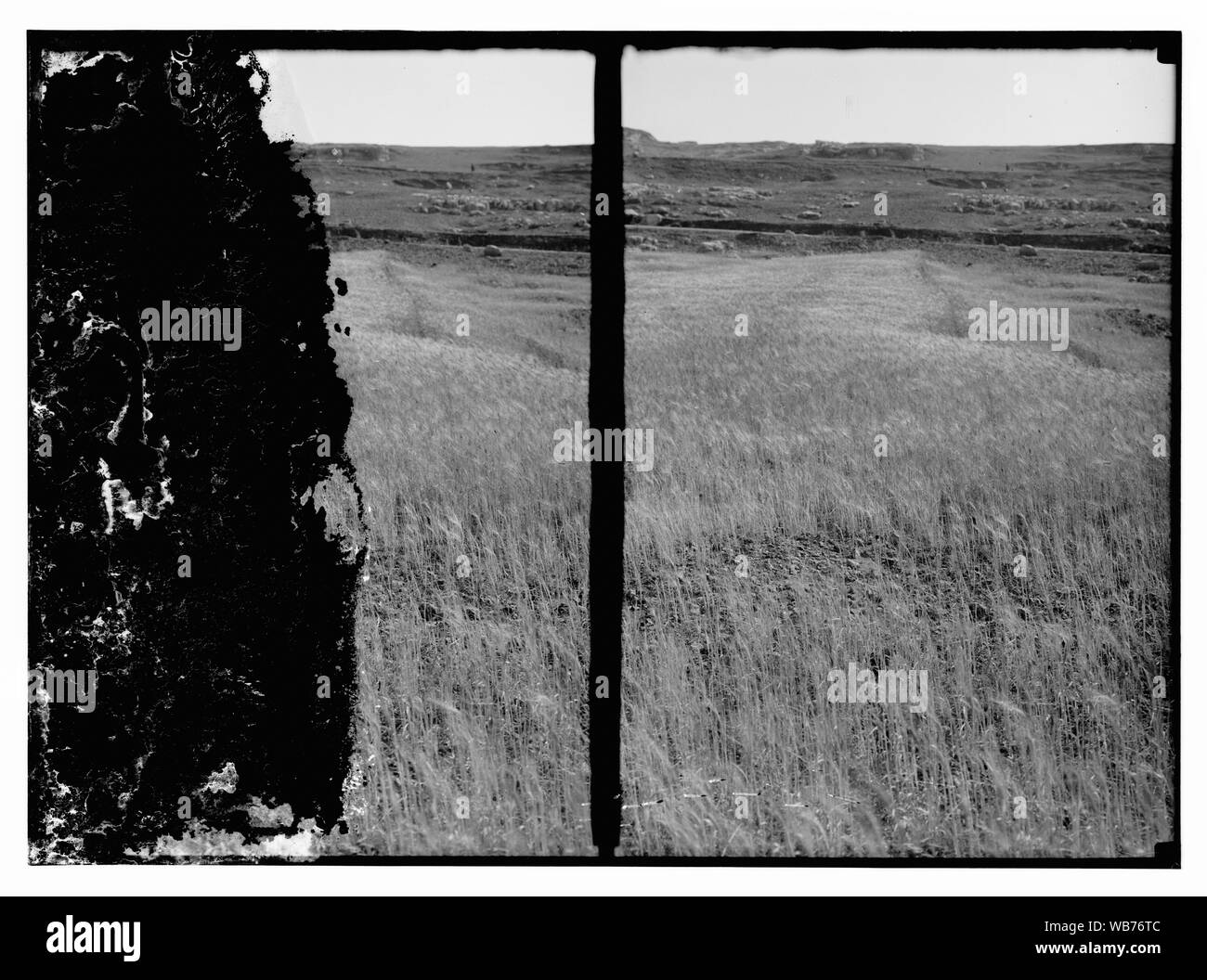 Campo Riassunto/medio: G. Eric e Edith Matson Collezione fotografica Foto Stock