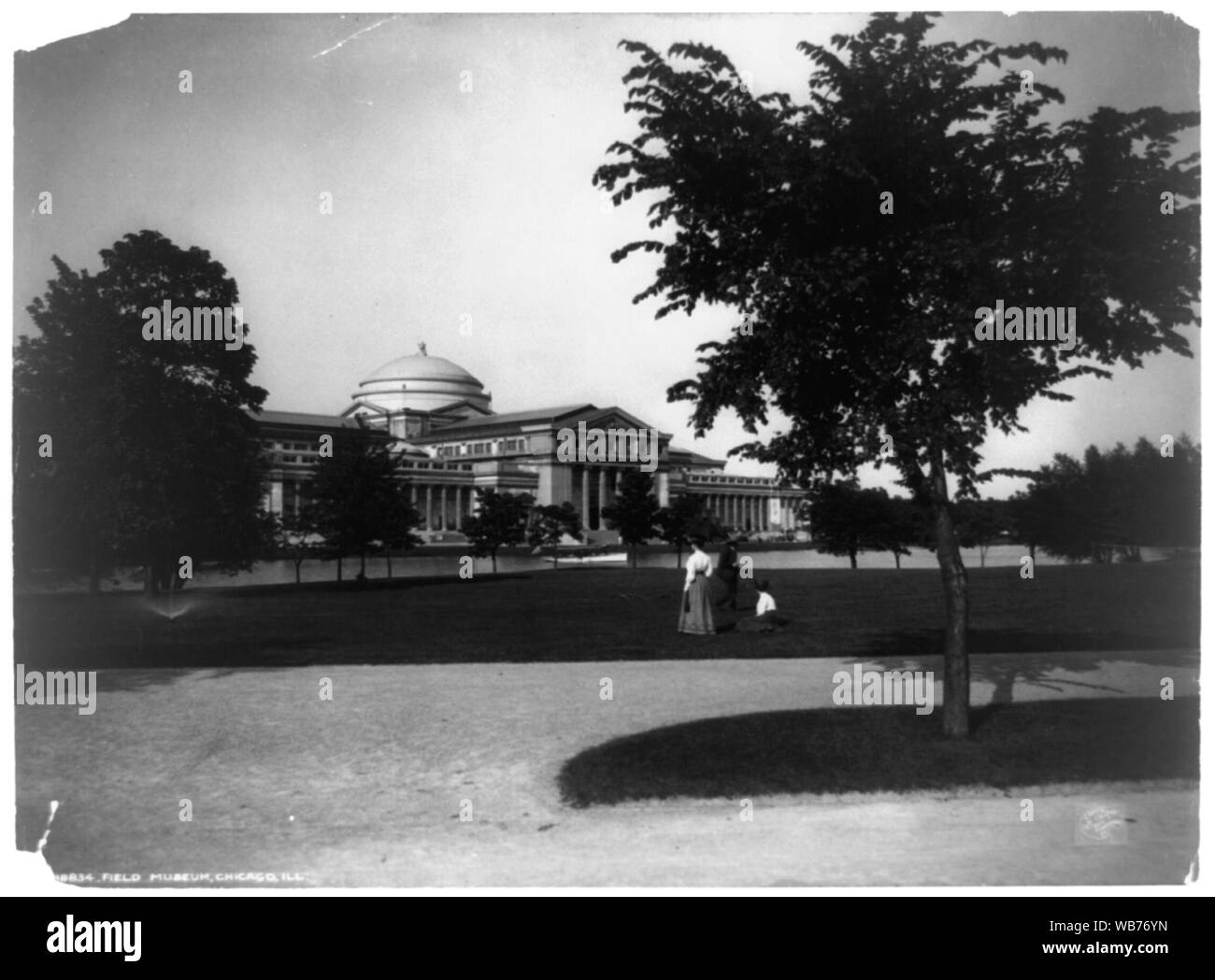 Field Museum, Chicago, Ill. Abstract/medio: 1 stampa fotografica. Foto Stock