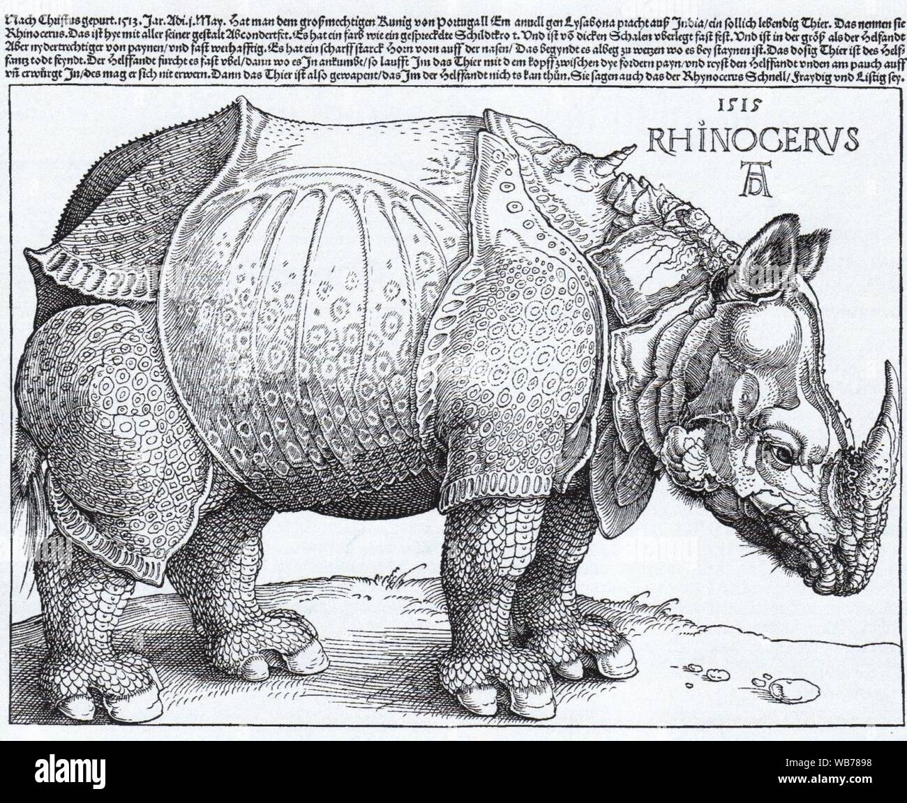 Rhinocerus xilografia (1515) Albrecht Dürer. Foto Stock