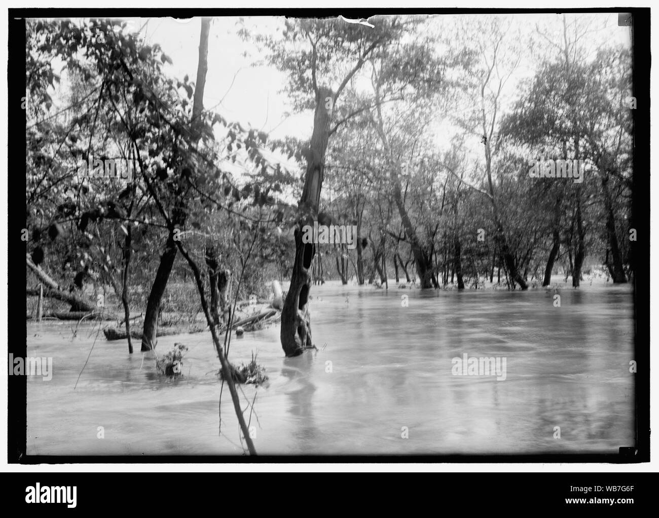 Abstract alluvione/medio: 1, negativo : vetro ; 5 x 7 in. o più piccolo Foto Stock