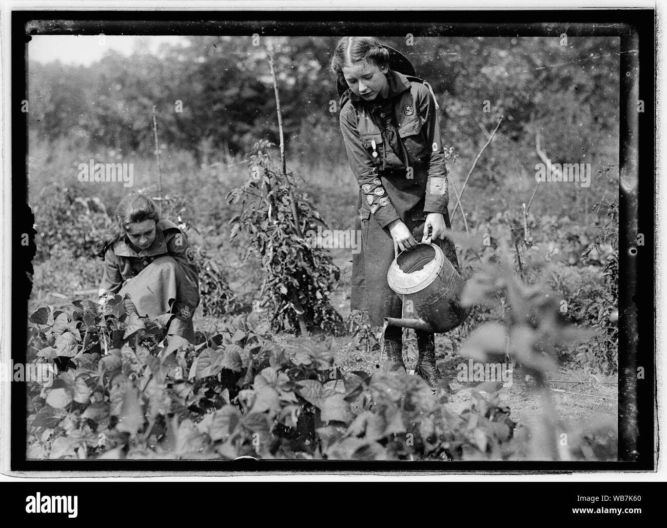 Cibo Admin., ragazza Scout giardino, xiii & Iowa Ave., nello Stato di Washington, D.C. Abstract/medio: 1, negativo : vetro ; 5 x 7 in. o più piccolo Foto Stock