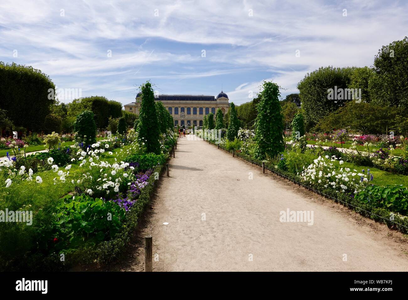 Per coloro che godono di luminose, fiori d'estate nei giardini del Jardin des Plantes, Muséum National d'Histoire Naturelle in background, Parigi, Francia Foto Stock