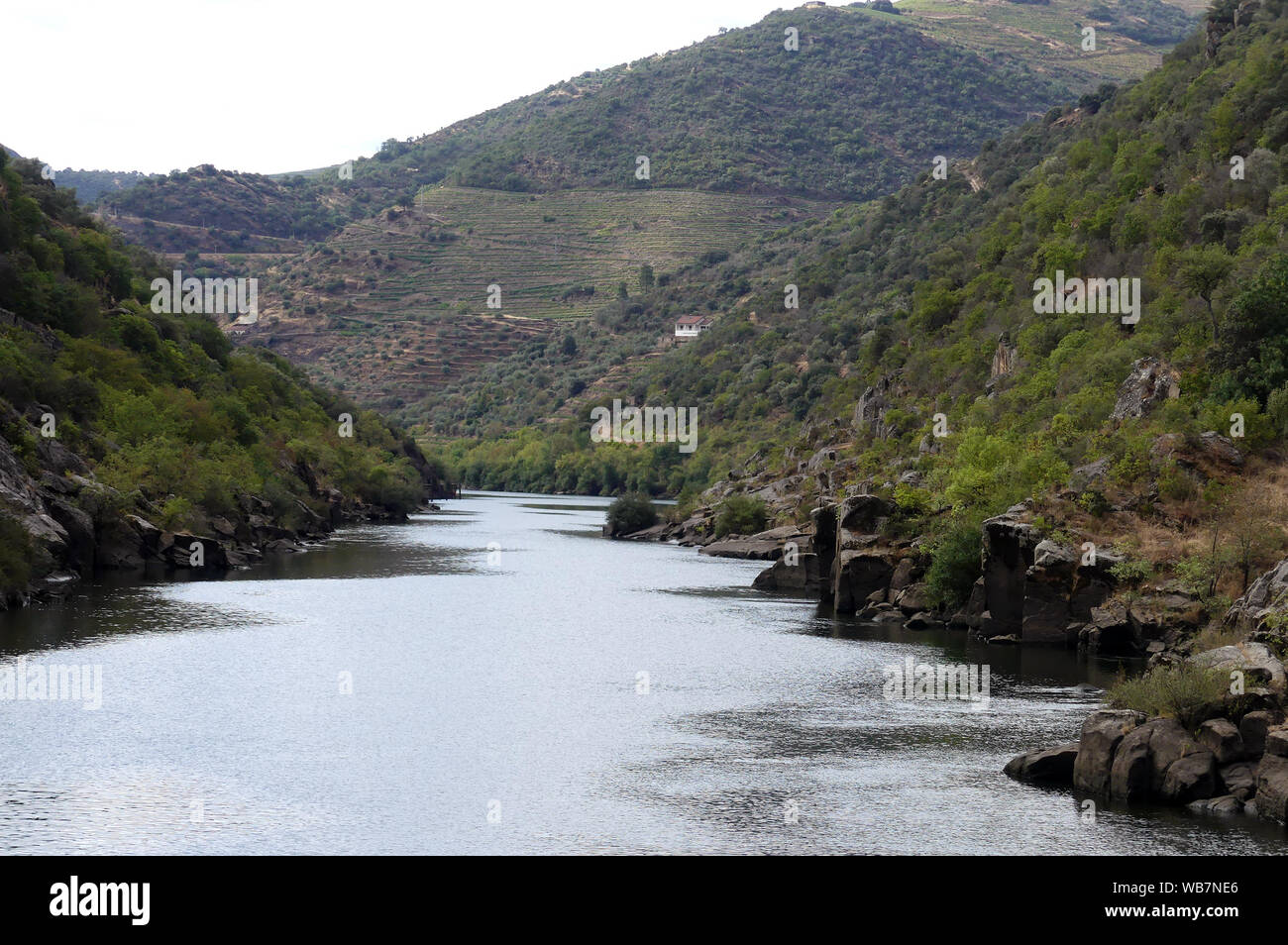 Fiume Douro al più stretto del tratto navigabile in Portogallo. Foto: Tony Gale Foto Stock