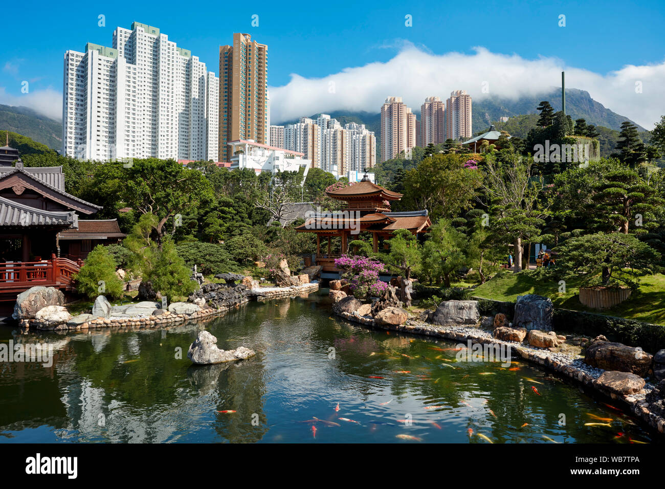Giardino Nan Lian, un Cinese classico giardino con laghetto di pesci. Diamond Hill, Kowloon, Hong Kong, Cina. Foto Stock
