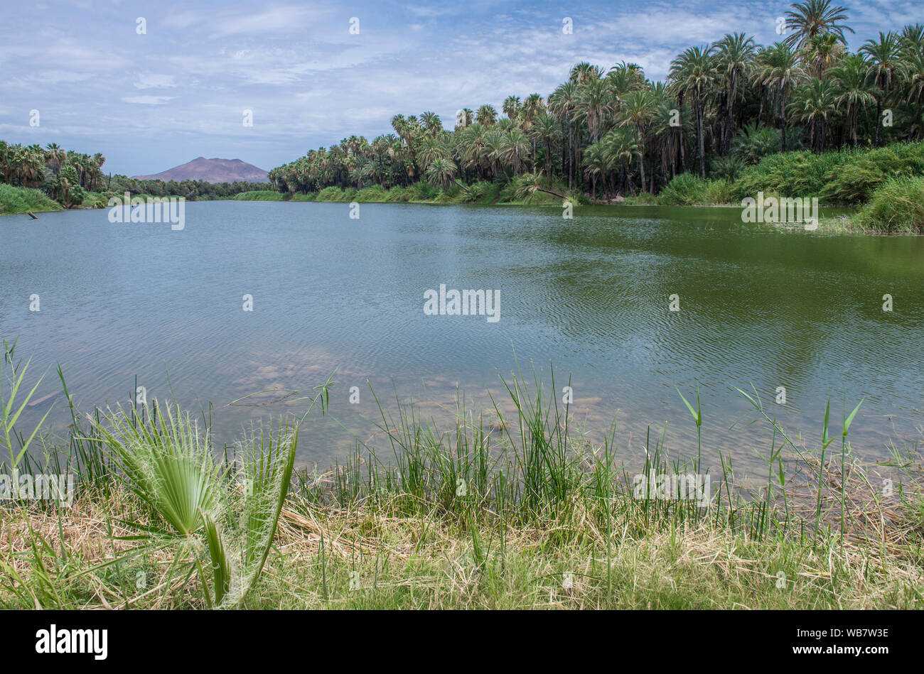Bellissima vista della laguna di San Ignacio Baja California Sur. Messico Foto Stock