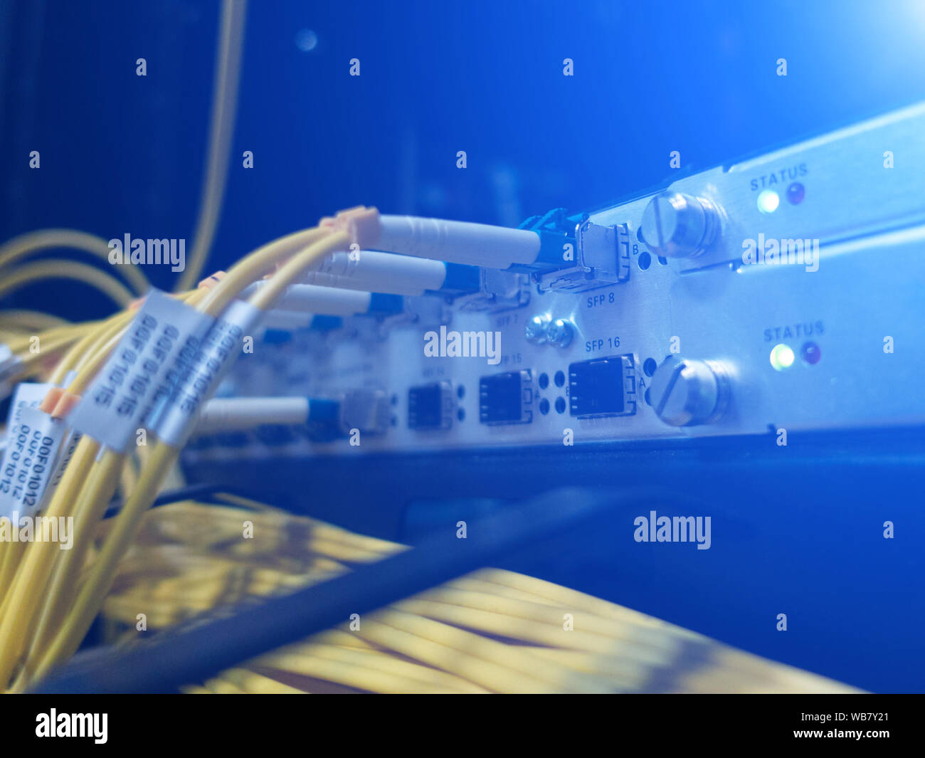 Chiudere fino a fibra ottica in sala server , i cavi di rete installati in rack Foto Stock